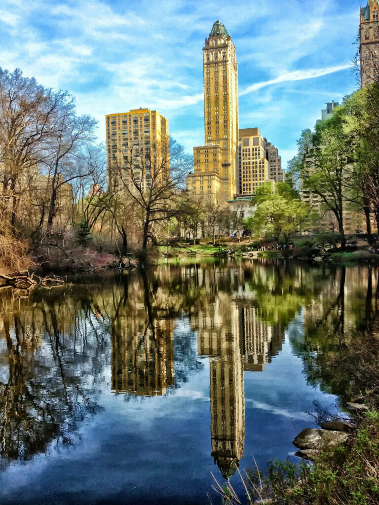 Vibrant cityscape with tall buildings reflecting in Central Park lake surrounded by lush trees Wallpaper