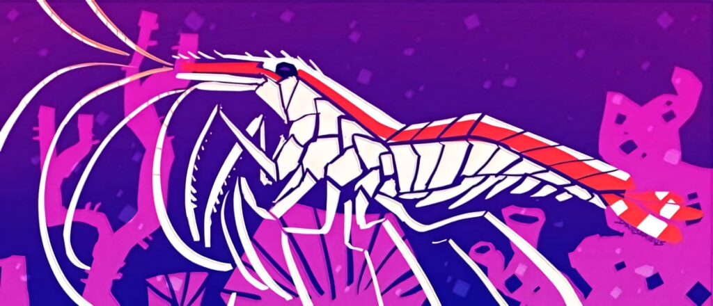 Vibrant cleaner shrimp with red white patterns on purple pink tropical reef geometric wallpaper