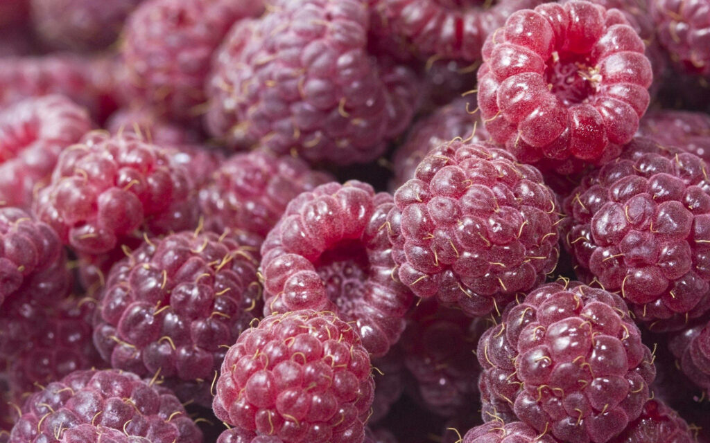 Juicy Raspberry Wallpaper: Vibrant Texture & Rich Red Color Background