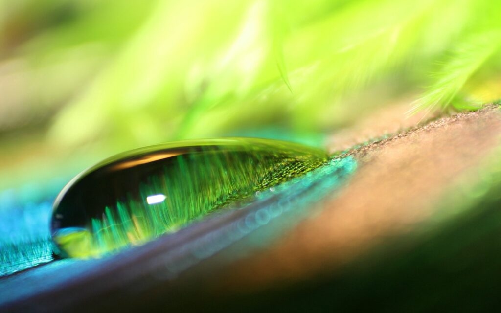 Colorful Close-Up Wallpaper: Droplet on Vibrant Textured Surface