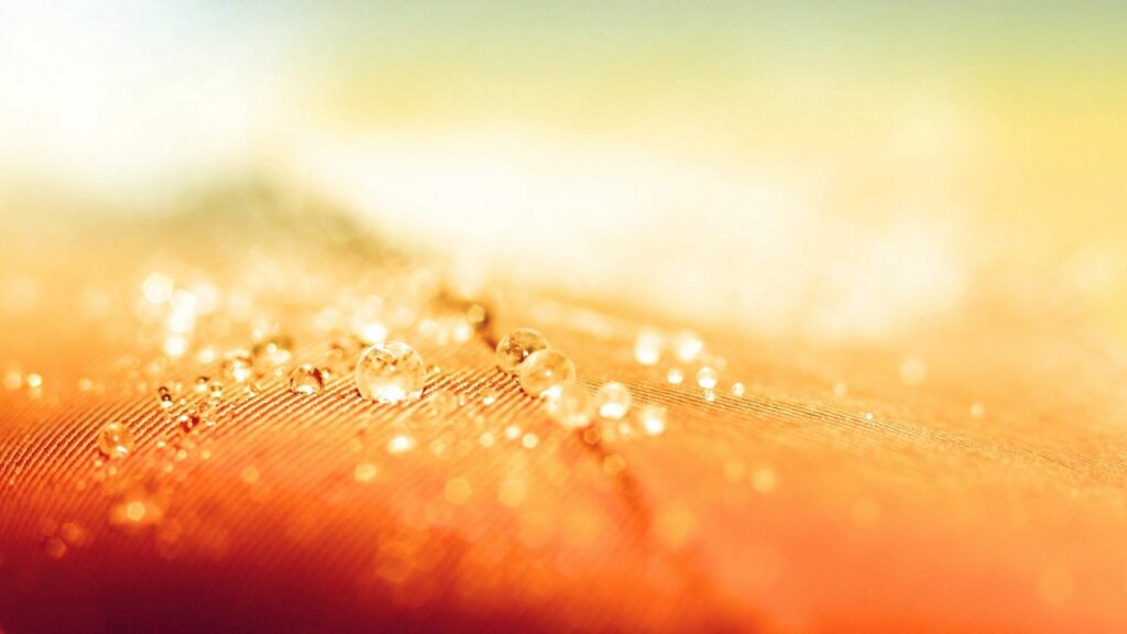 Vibrant Wallpaper: Close-Up Water Droplets on Textured Surface