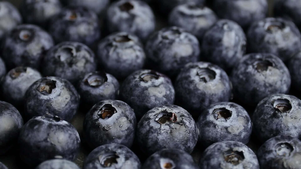 Close-up of fresh ripe blueberries showing vibrant color and natural texture for wallpaper