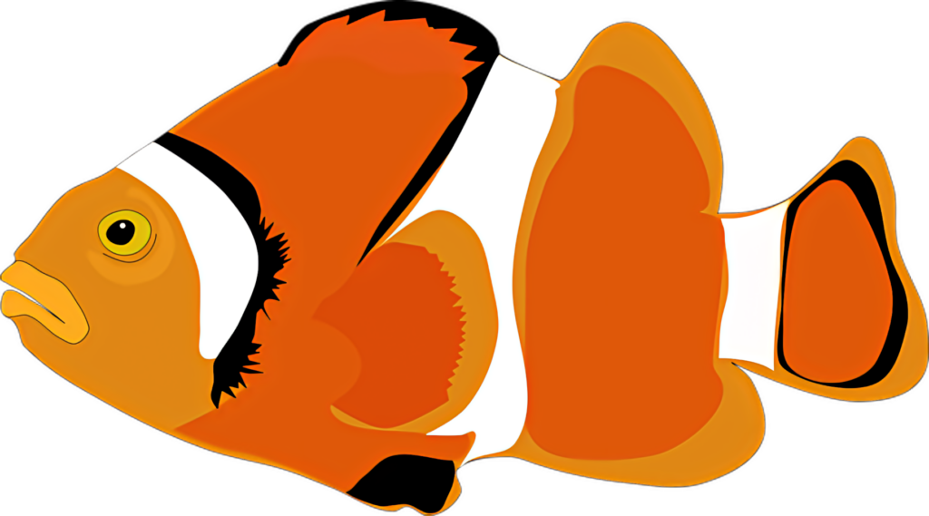 Vibrant Clownfish Vector Wallpaper - Marine Life Charm