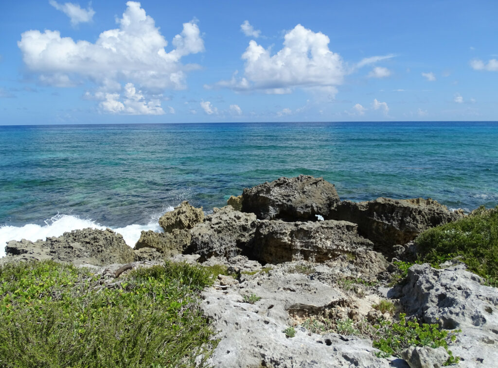 Vibrant coastal wallpaper with blue sea horizon rugged rocks lush greenery and gentle surf waves