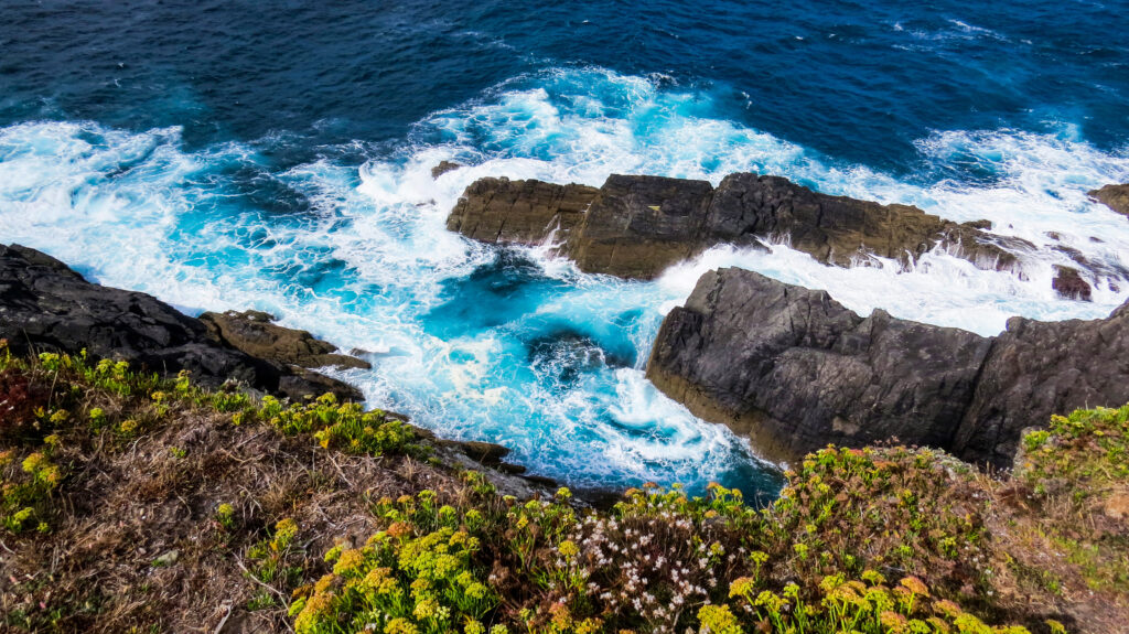 Vibrant coastal rocks with blue waves crashing white foam wild greenery yellow flowers seascape wallpaper