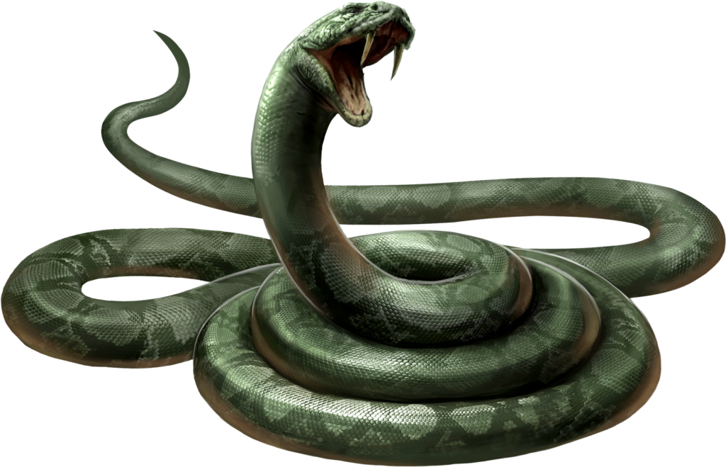 Vibrant Cobra Wallpaper: Aggressive Pose & Stunning Details