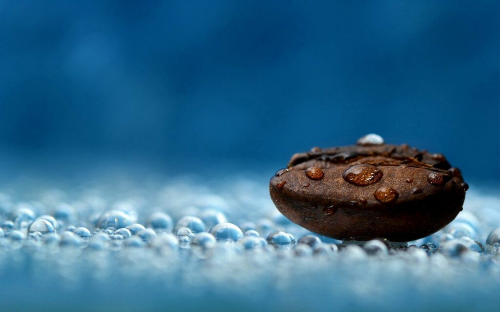 Fresh Coffee Bean Close-Up with Water Droplets on Blue Wallpaper