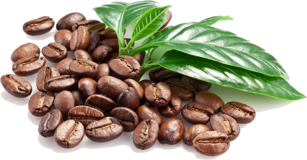 Fresh Coffee Beans & Green Leaves: Vibrant Wallpaper Background