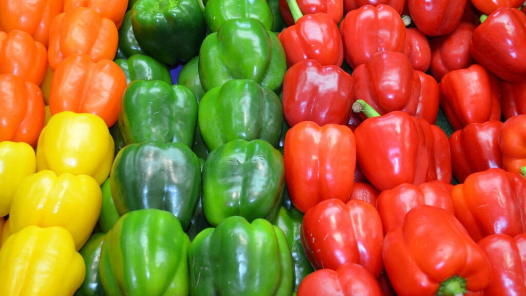 Vibrant wallpaper of fresh colorful bell peppers orange yellow green and red capsicum variety
