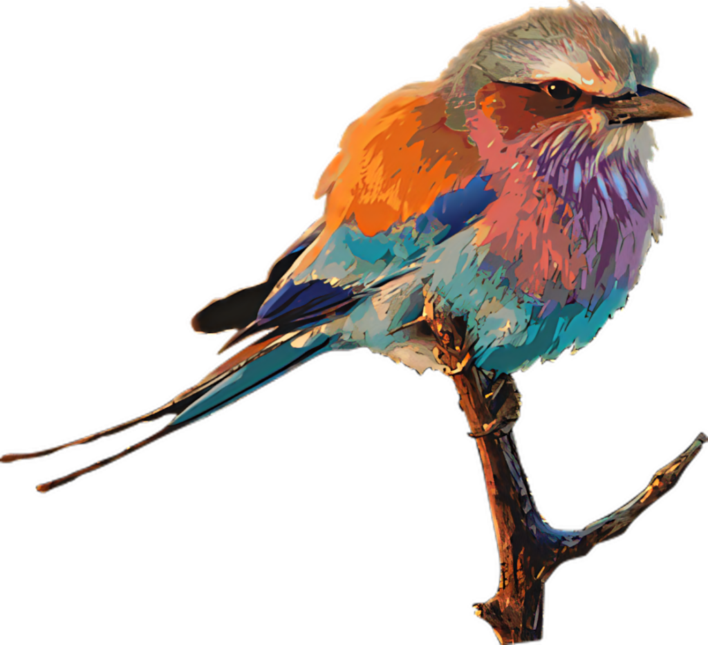Colorful Bird Illustration Wallpaper - Vibrant Nature Art Background