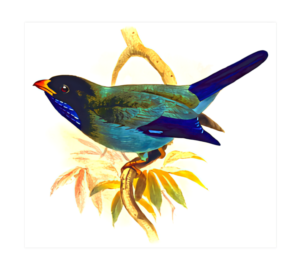 Colorful Bird Illustration on Branch with Light Background Wallpaper