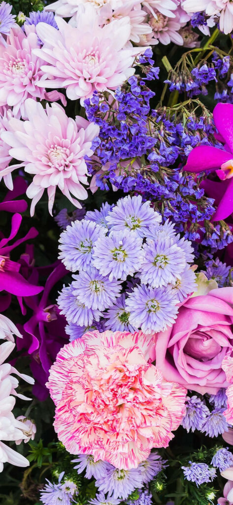 Vibrant Colorful Flower Wallpaper for Your iPhone Display