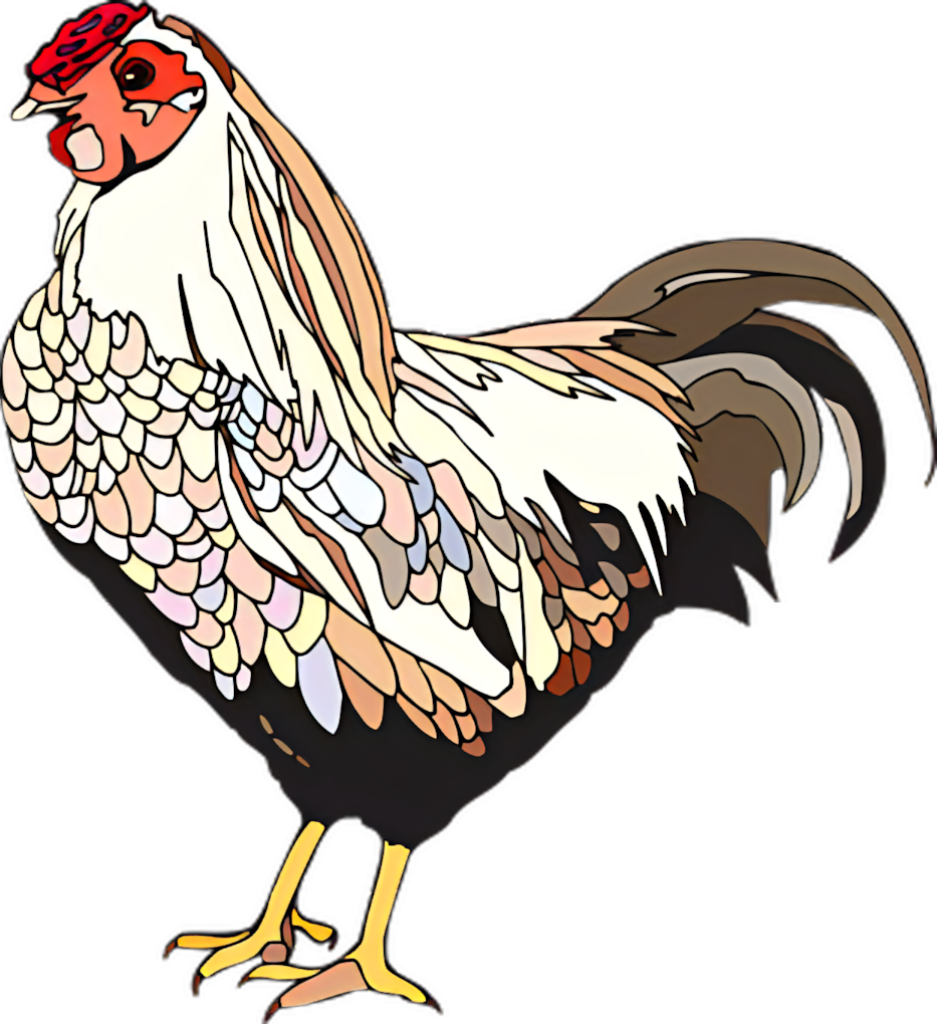 Colorful Mosaic Rooster Artwork: Vibrant Plumage & Intricate Design Wallpaper