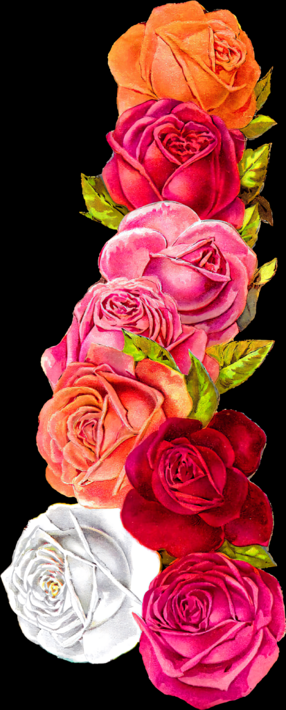 Vibrant Colorful Roses Vertical Wallpaper Design – Eye-Catching Background