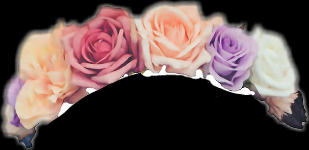 Vibrant Colorful Roses Wallpaper: Striking Dark Background Design