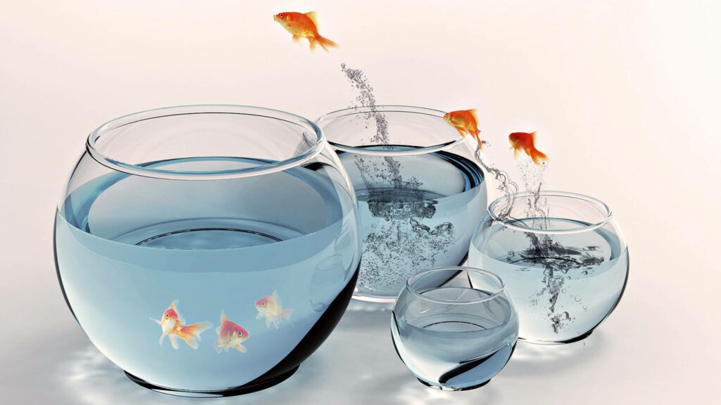 Vibrant Comet goldfishes leaping between glass fishbowls with splashes in bright minimal scene Wallpaper