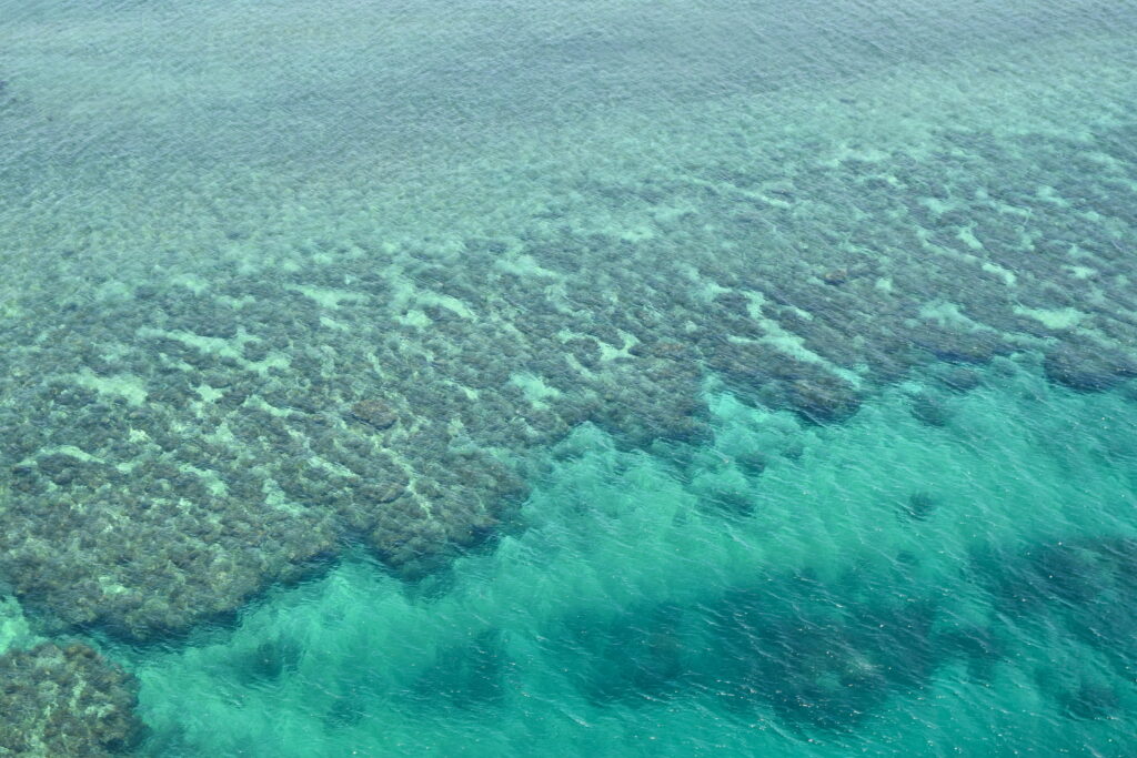 Aerial view of vibrant coral reefs and clear turquoise ocean waters underwater wallpaper background