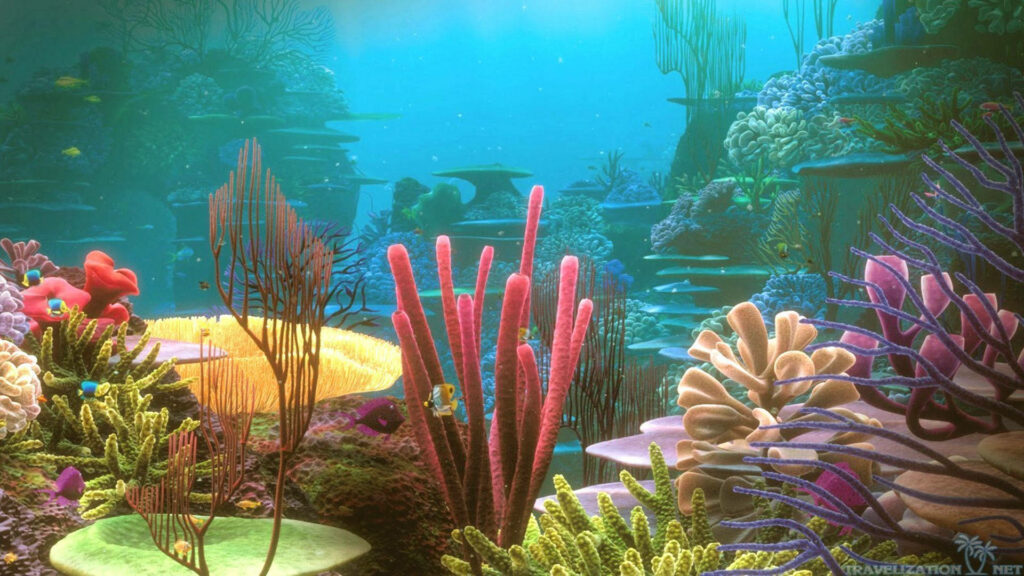 Vibrant Coral Reef Wallpaper: Mesmerizing Marine Life Background