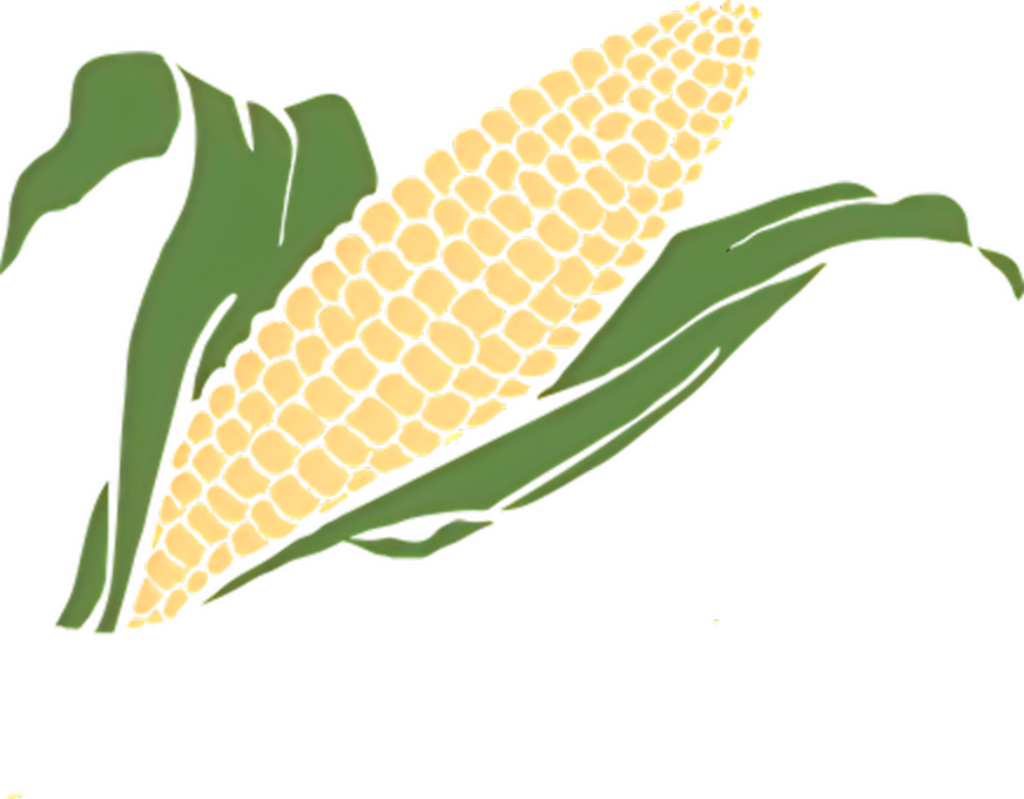 Vibrant Corn Cob Illustration: Artistic Wallpaper for Culinary Projects