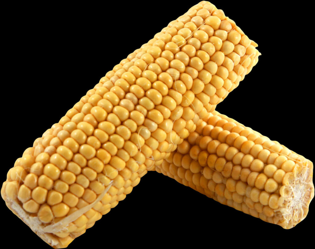 Vibrant Corn Cobs Wallpaper: Golden Kernels on Black Background