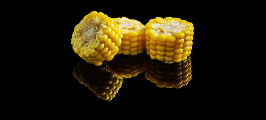 Vibrant Corn Cobs on Black Surface - Glossy Reflection Wallpaper