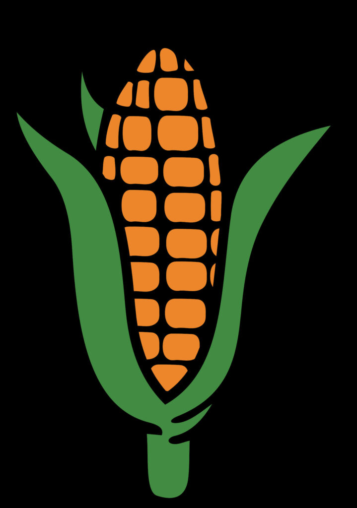 Vibrant Corn Ear Illustration with Bold Orange Kernels on Transparent Background Wallpaper