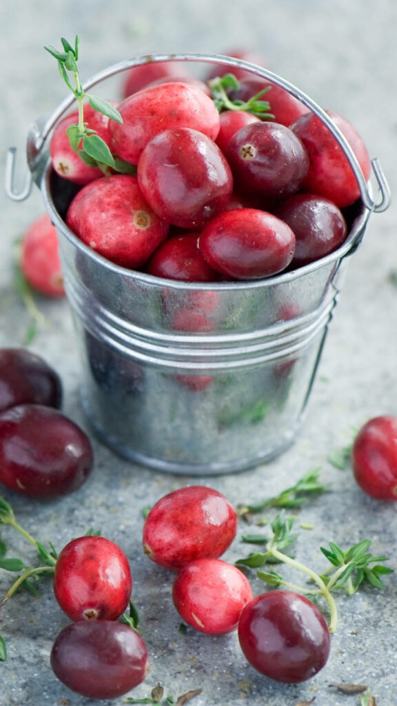 Vibrant Cranberry Wallpaper: Metal Bucket & Greenery Touch