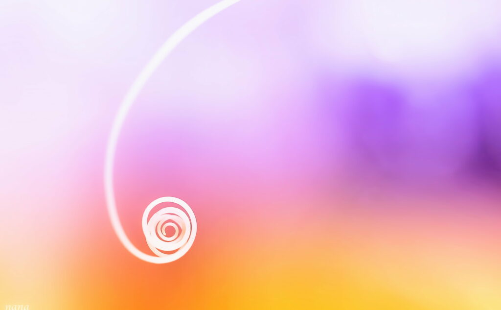 Vibrant Nature: A Cheerful and Creative Minimalism in Curly Ultra Colors - 4K Wallpaper Background Photo