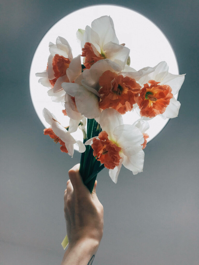 Vibrant Daffodil Bouquet Wallpaper Against Bright Background