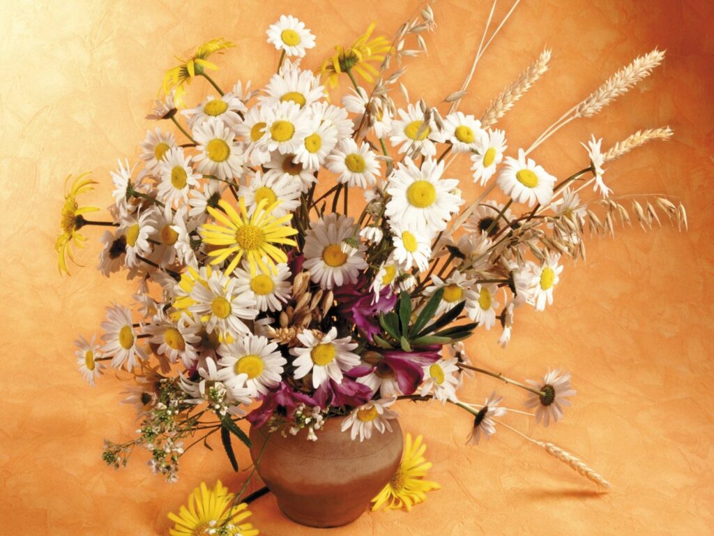 Vibrant Daisies & Wildflowers in Rustic Pitcher - Warm Background Wallpaper
