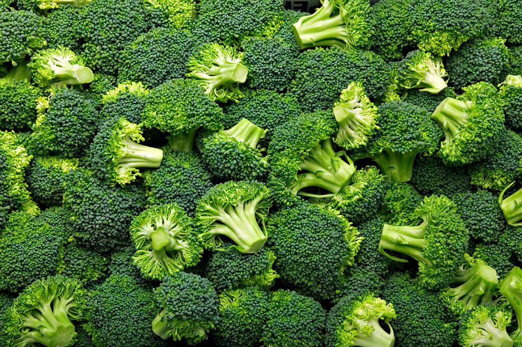 Vibrant dark green broccoli pattern with detailed florets and crisp textures high resolution wallpaper
