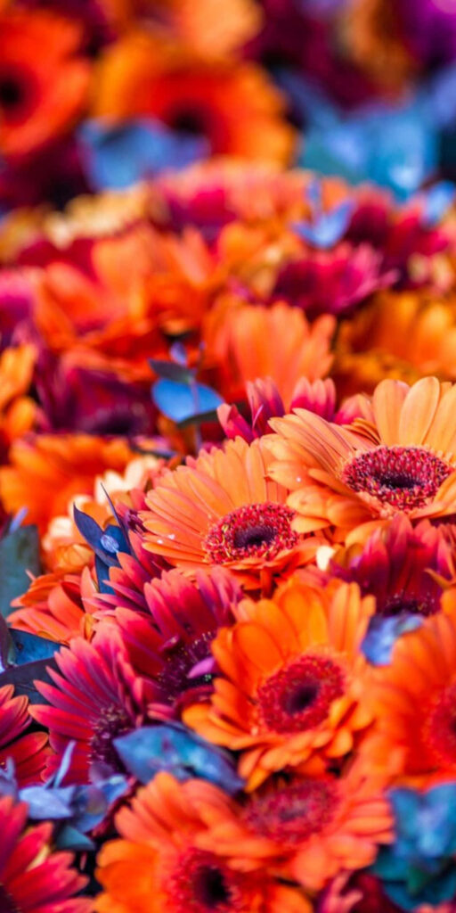 Vibrant Dark Orange Floral Wallpaper: Lively Background Design