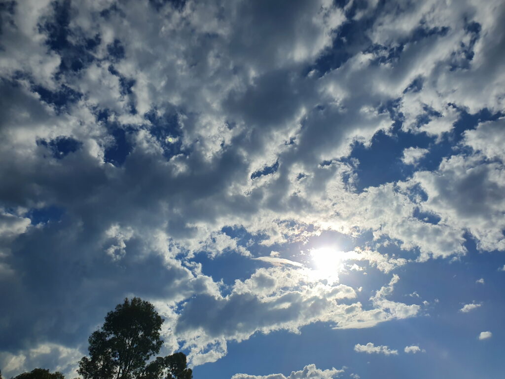 Vibrant Daytime Sky with Clouds and Tree Silhouettes HD Wallpaper