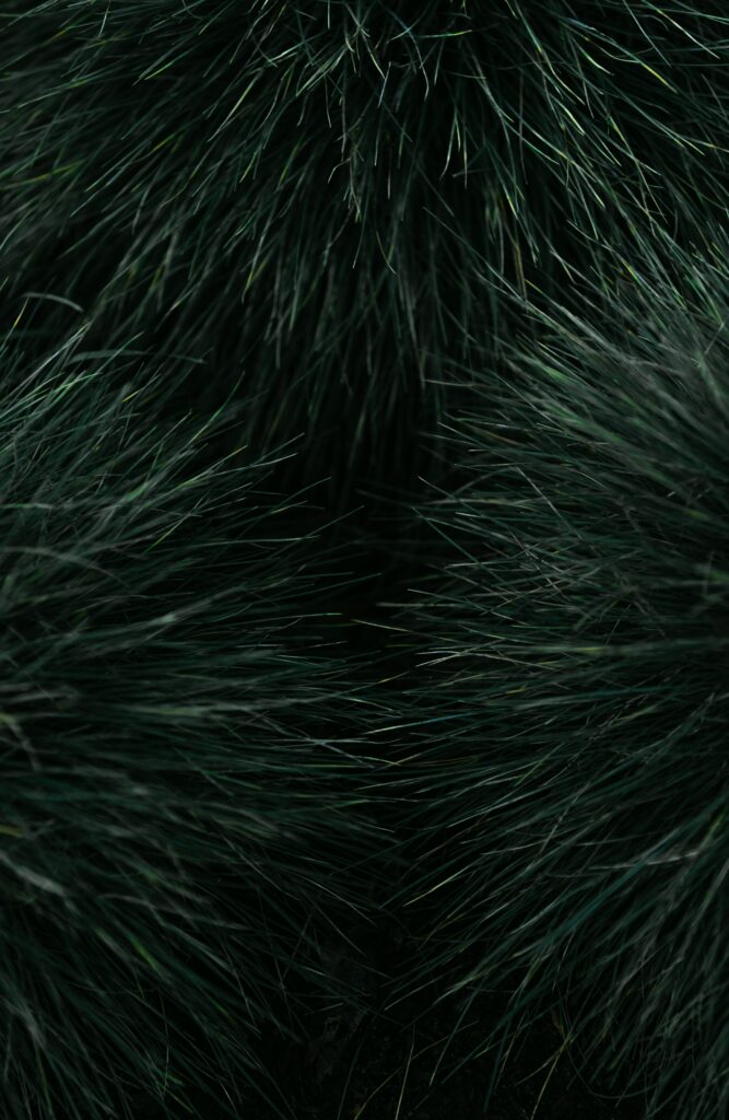 Intricate Deep Green Grass Macro: Captivating Wallpaper Background