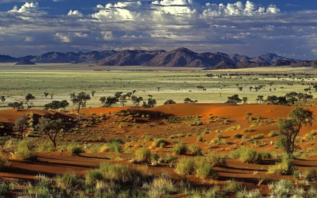 Vibrant desert landscape with red sand dunes green plants rugged mountains and dramatic sky clouds Wallpaper