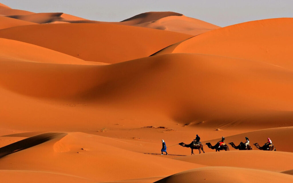 Caravan of camels crossing golden sand dunes under clear sky in vibrant mountain desert landscape Wallpaper