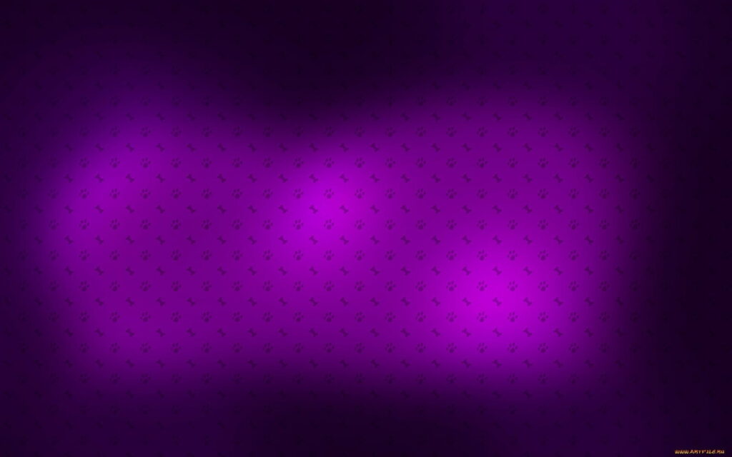 Vibrant Violet: A High-Definition Wallpaper Background Photo