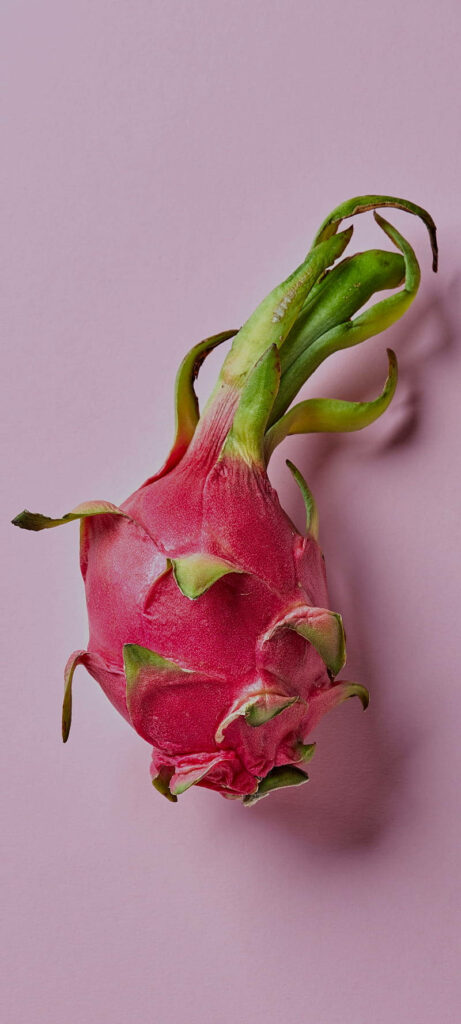 Vibrant Dragonfruit on Pastel Pink: Fresh Wallpaper Background