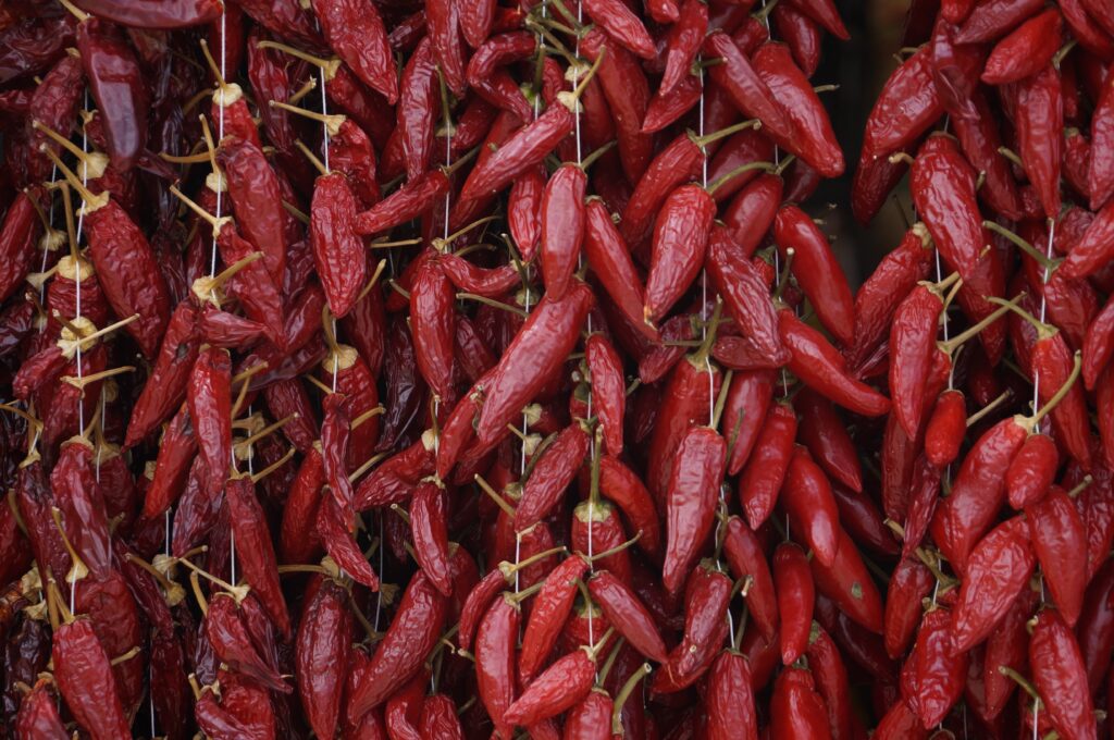 Vibrant Dried Red Peppers Wallpaper Background for Rustic Charm