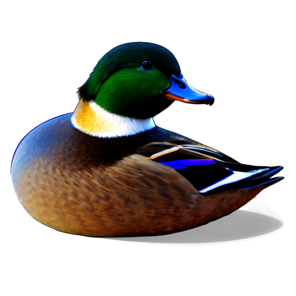 Vibrant Duck Wallpaper: Colorful Art with Glossy Feathers