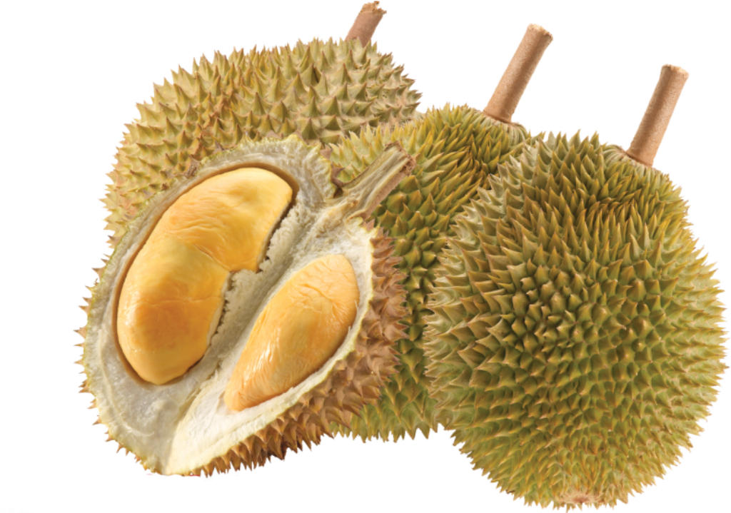 Vibrant Durian Wallpaper: Exotic Tropical Fruit with Thorny Shell