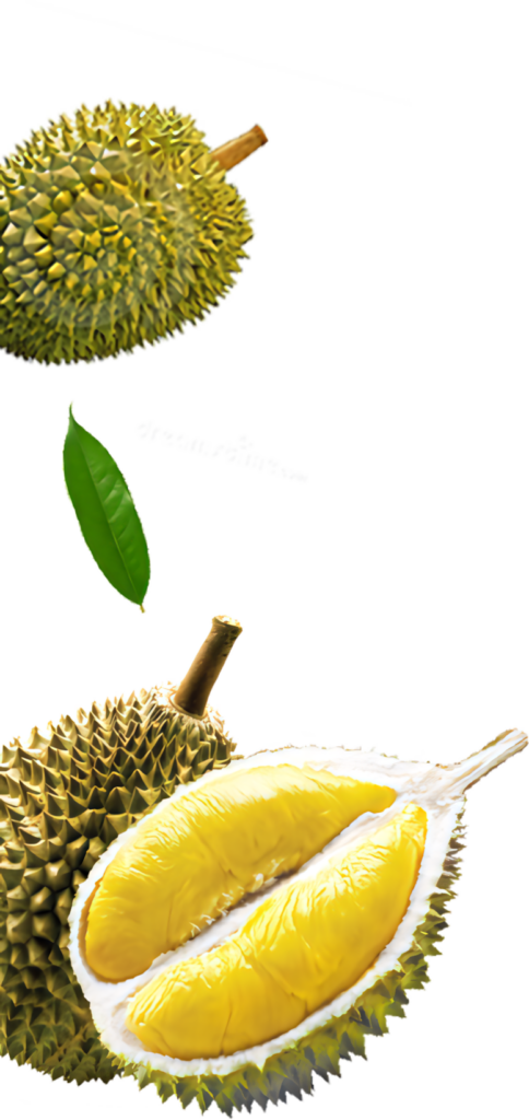 Vibrant Durian Fruit Wallpaper with Creamy Pulp and Green Leaf
