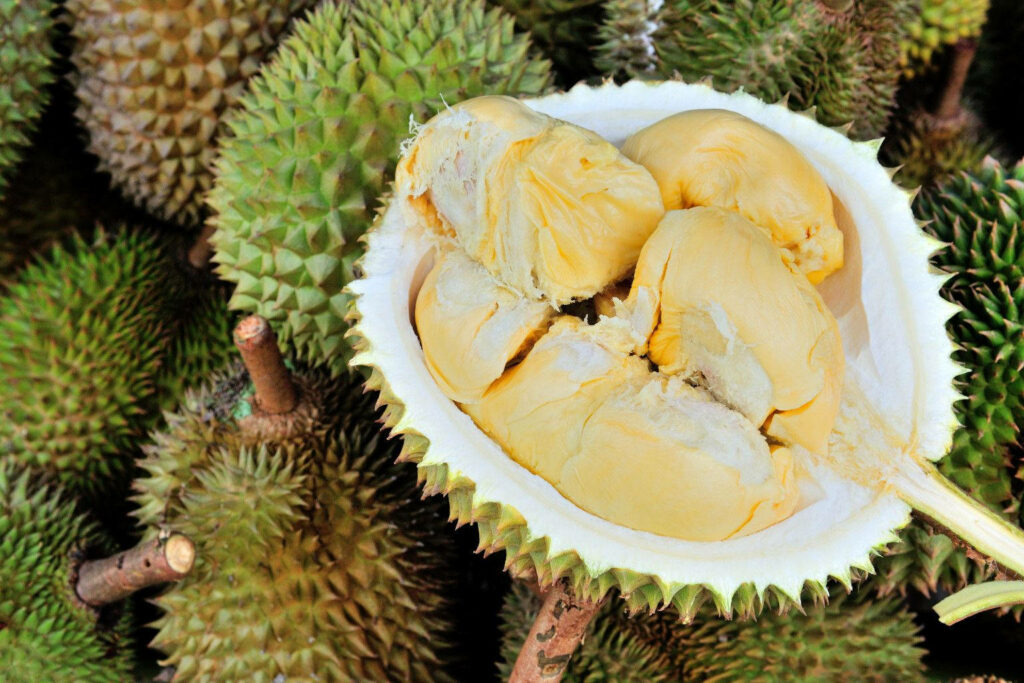 Vibrant Durian Wallpaper: Creamy Opened vs. Spiky Unopened Fruits