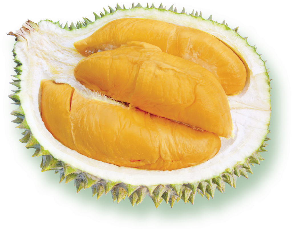 Vibrant Durian Segment: Golden Flesh & Spiky Rind Wallpaper Design