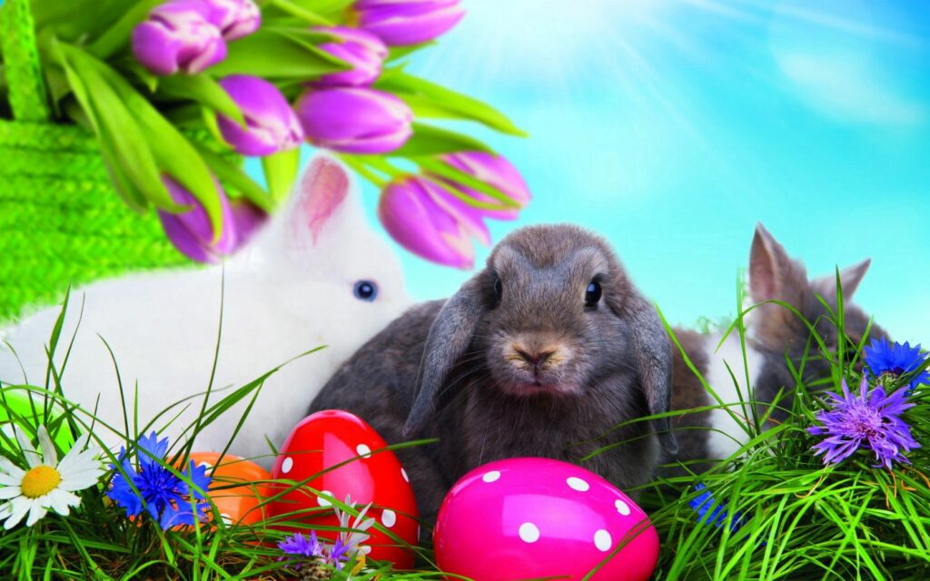Vibrant Easter Wallpaper: Colorful Eggs & Rabbits in Sunny Bliss