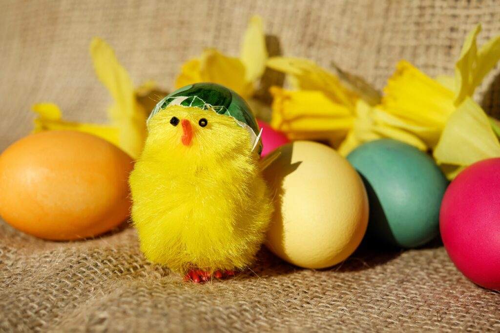 Vibrant Easter Wallpaper: Cute Yellow Chick with Colorful Eggs