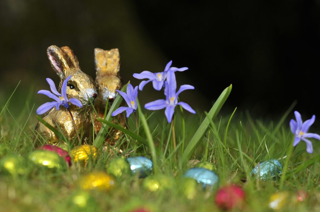 Colorful Easter Scene Wallpaper: Chocolate Rabbits & Spring Flowers