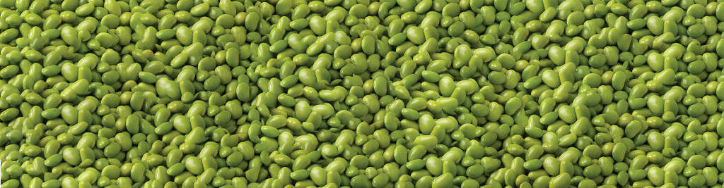 Vibrant Edamame Wallpaper: Close-Up of Fresh Green Beans Background