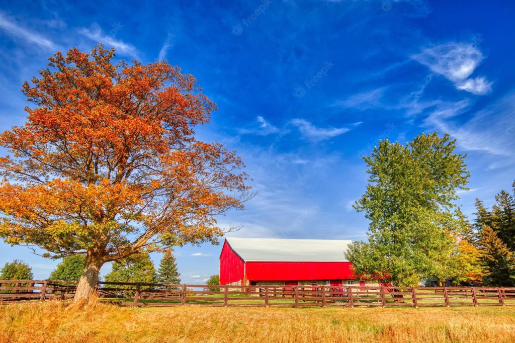 Fall farm wallpaper with red barn orange tree rustic fence and sunny blue sky background