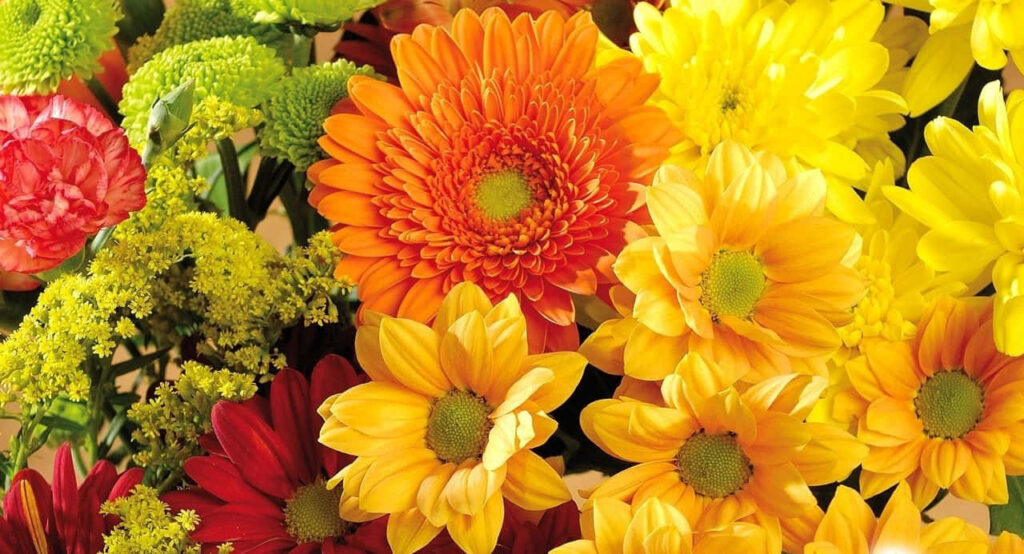 Vibrant Fall Flowers Wallpaper: Cheerful Orange, Yellow, Red Background